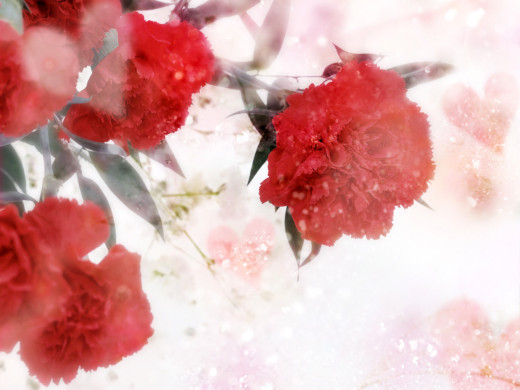 426254 (a): :1600x1200